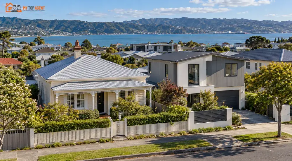 Petone House Prices
